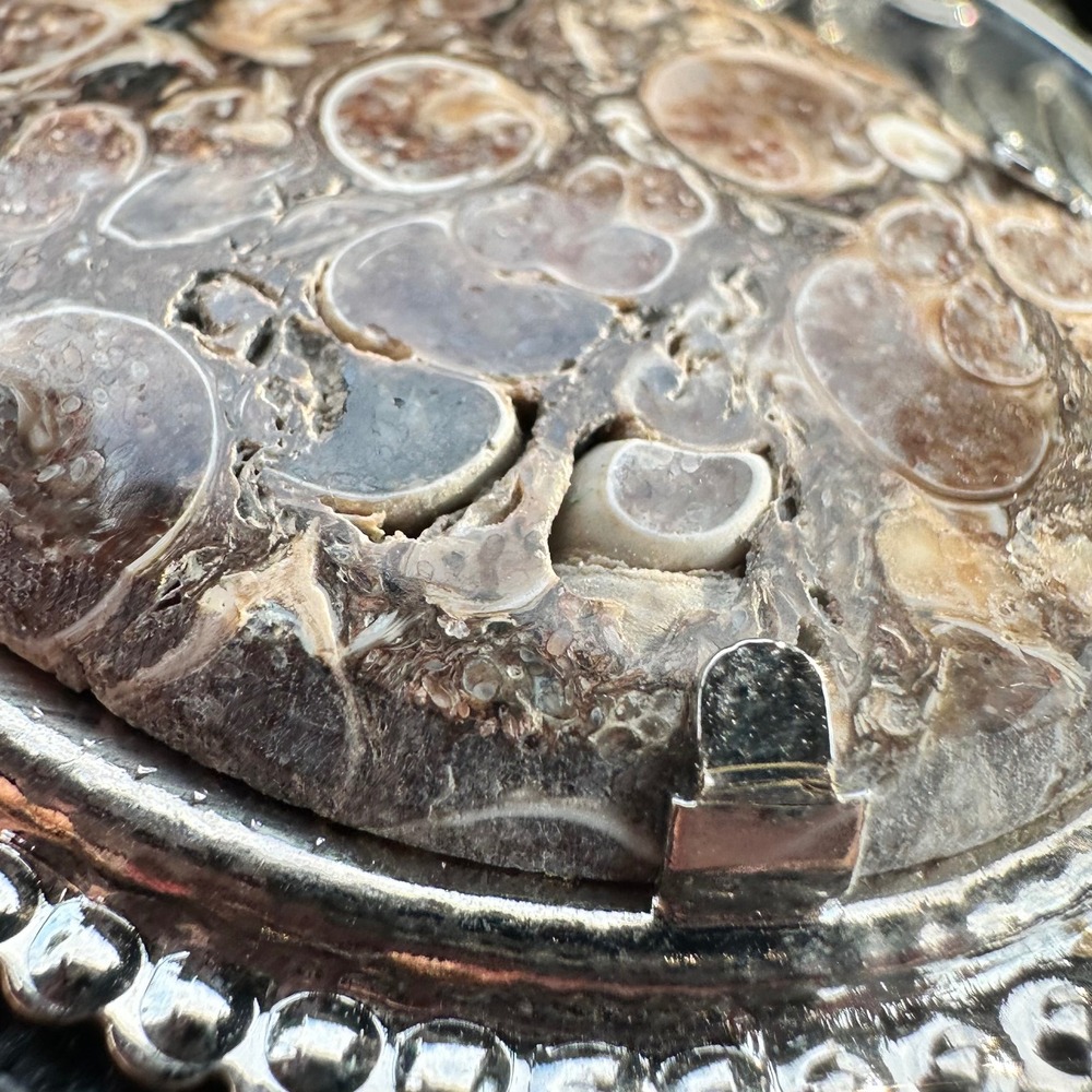 Vintage Turritella Agate Fossil Belt Buckle Silver Tone Western Scroll Oval COCO - Picture 3 of 3